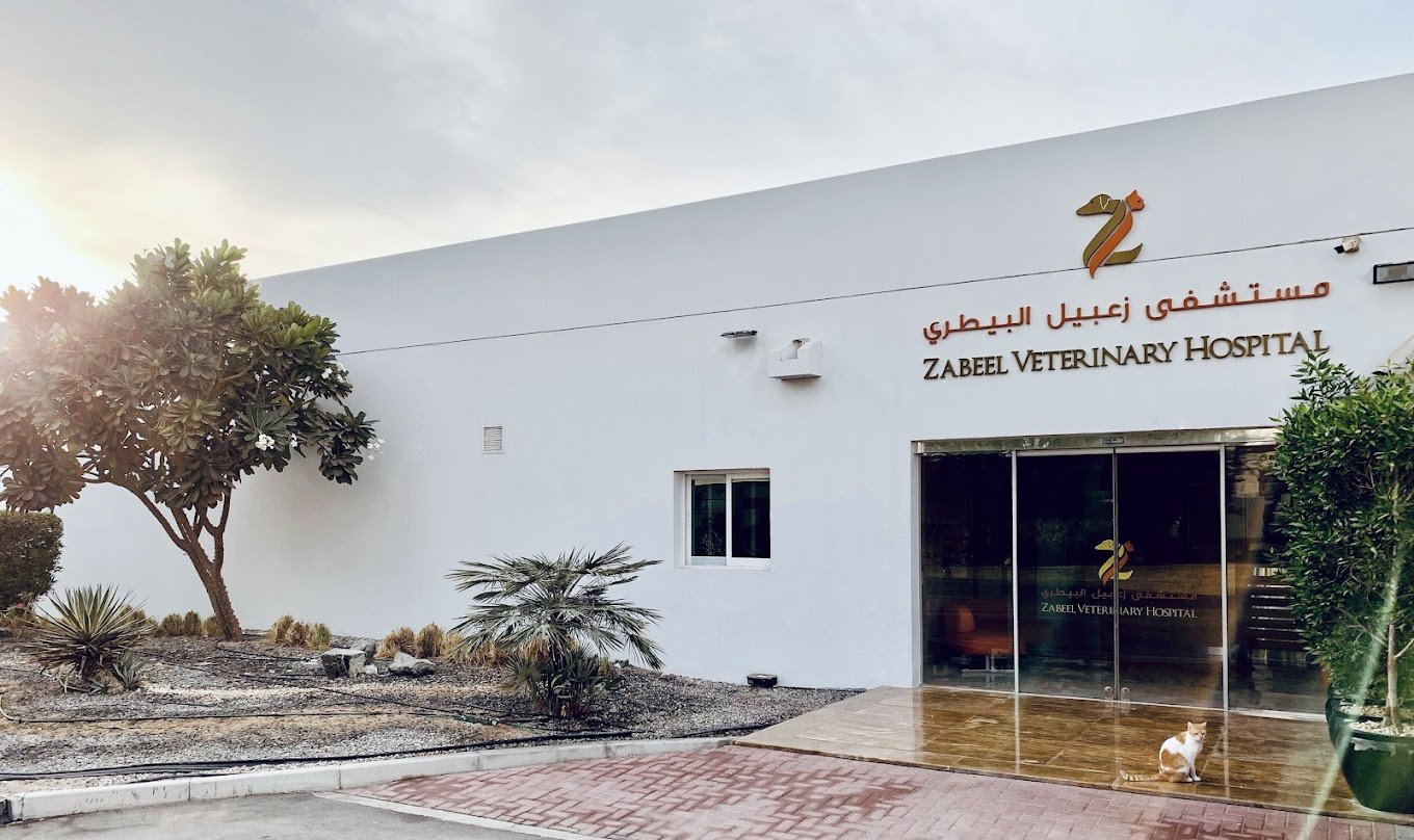 Zabeel Veterinary Hospital Dubai