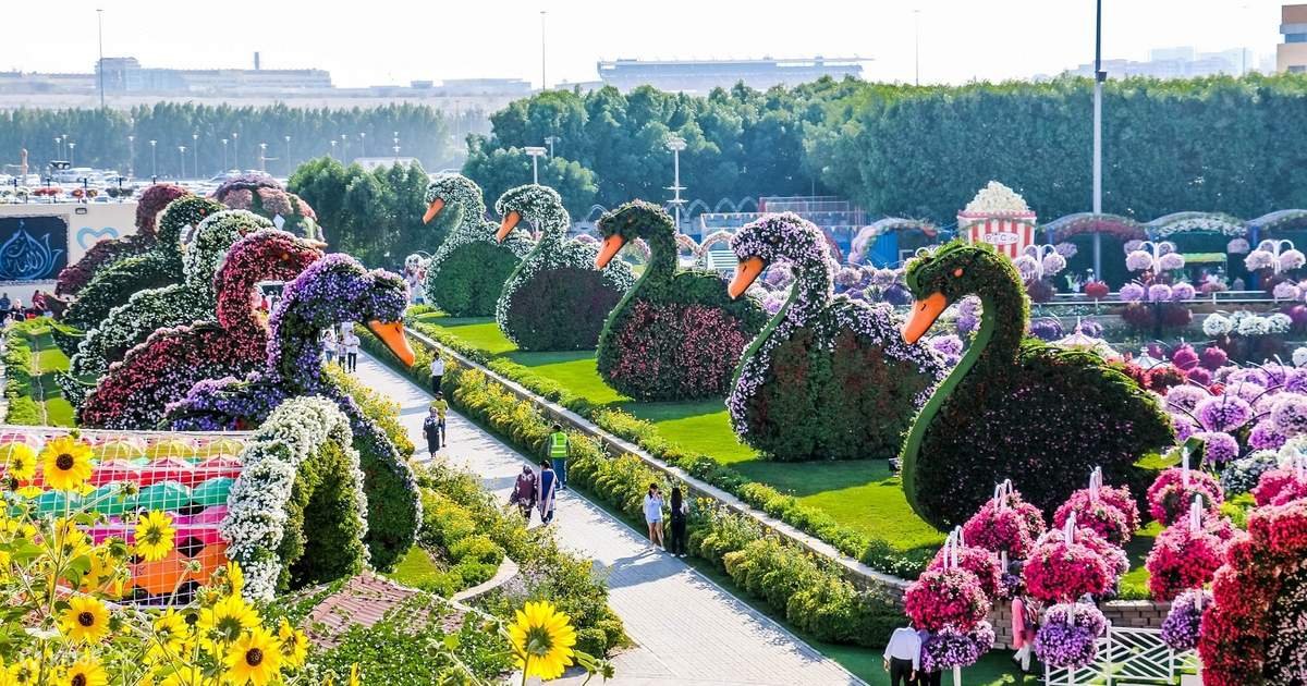 Dubai Miracle Garden