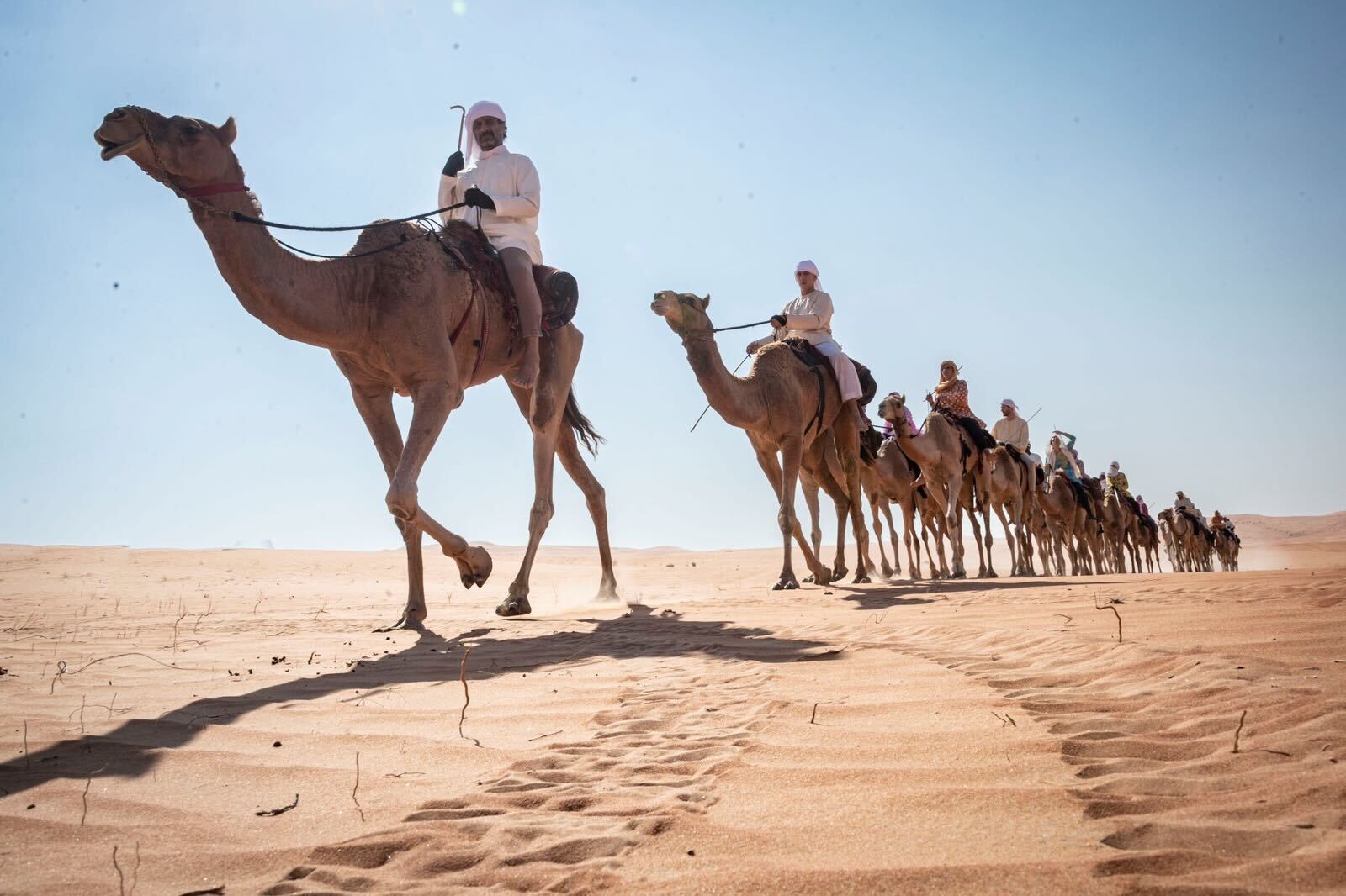 UAE Camel Trek