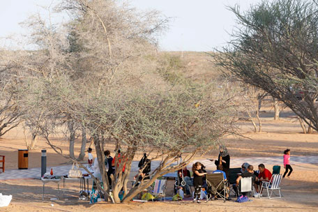 Al Hafiya Picnic Park Sharjah
