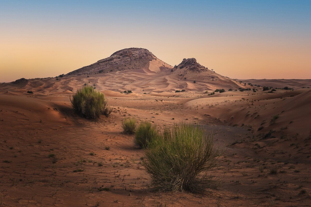 Faya Palaeolandscape