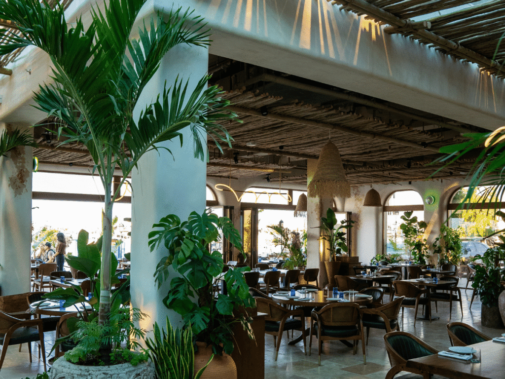 Bordomavi Dubai