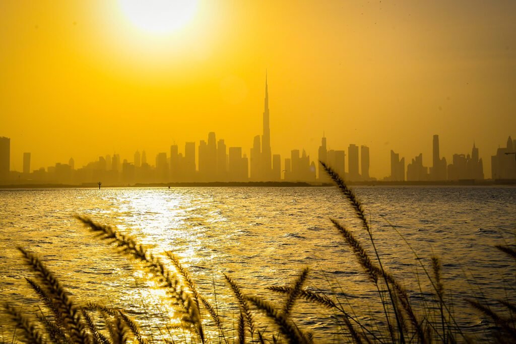 Dubai Residential Property Market