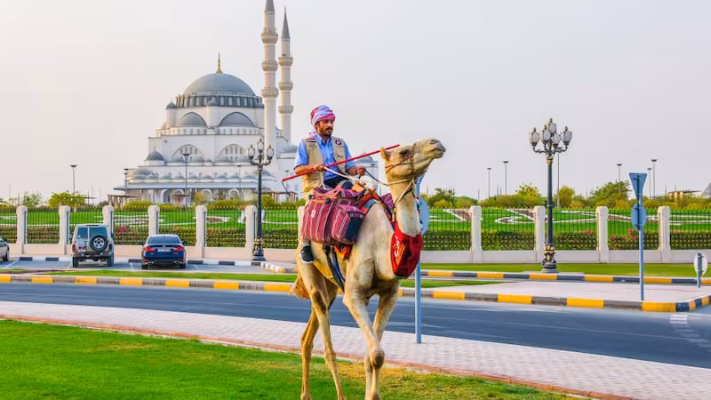 Camel Journey