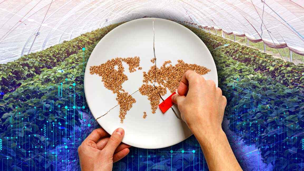 food security and sustainability