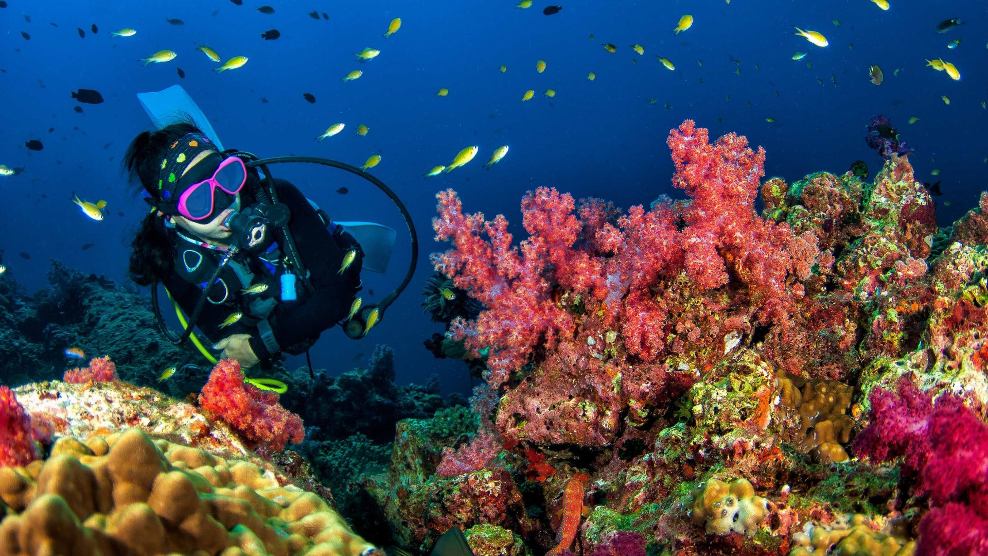 Fujairah Diving Spots