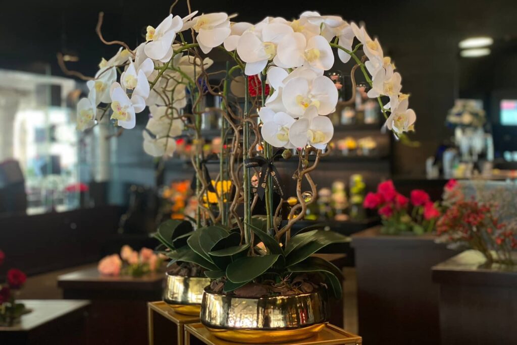 Preserved Flowers