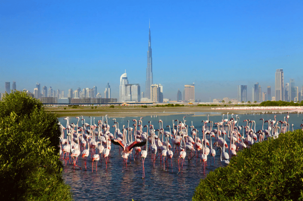 Hidden Gems in Dubai