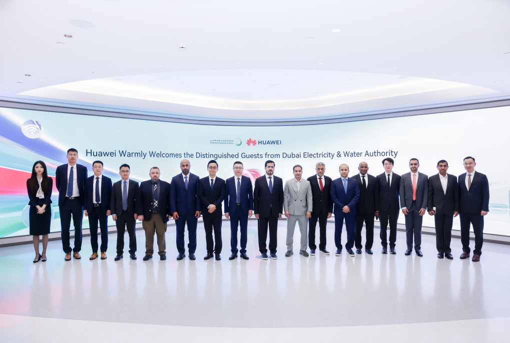 DEWA Chinese Clean Energy Partnership 