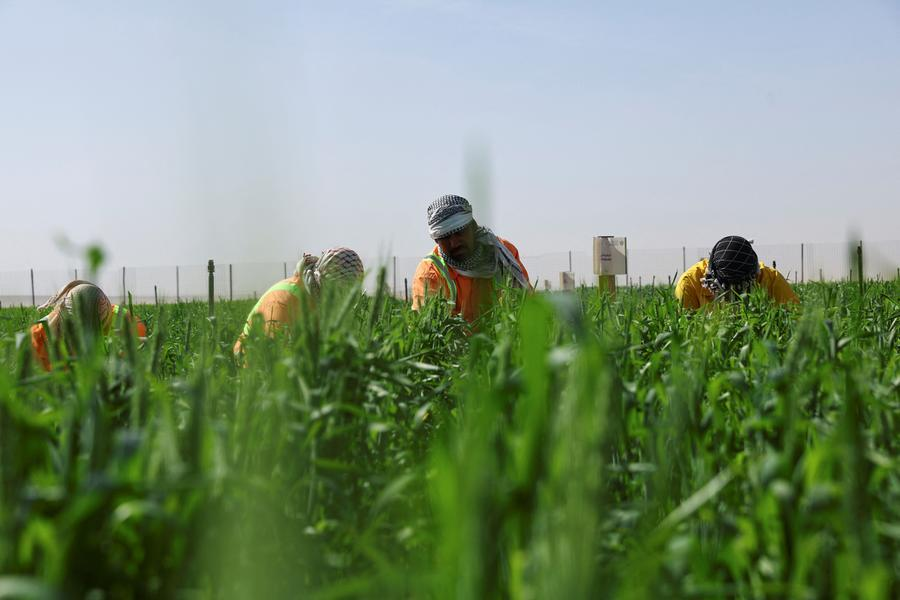 farm economic activities