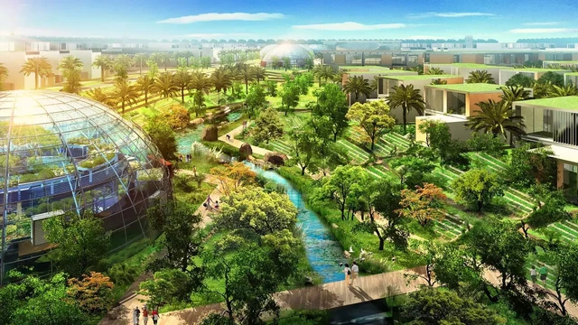 Green Community Dubai rent