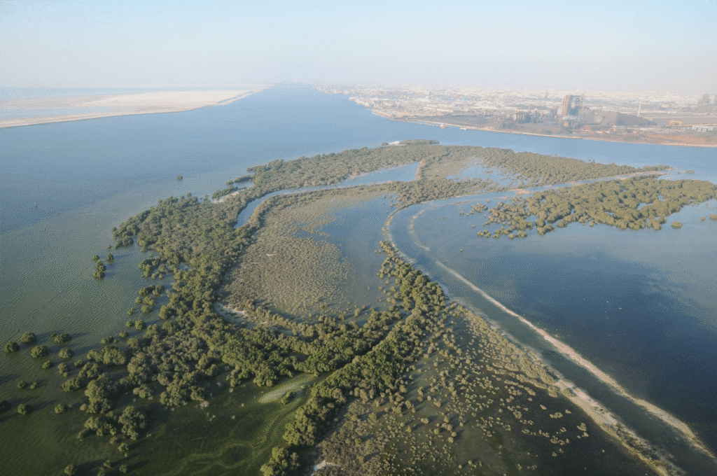 Abu Dhabi 2025 IUCN