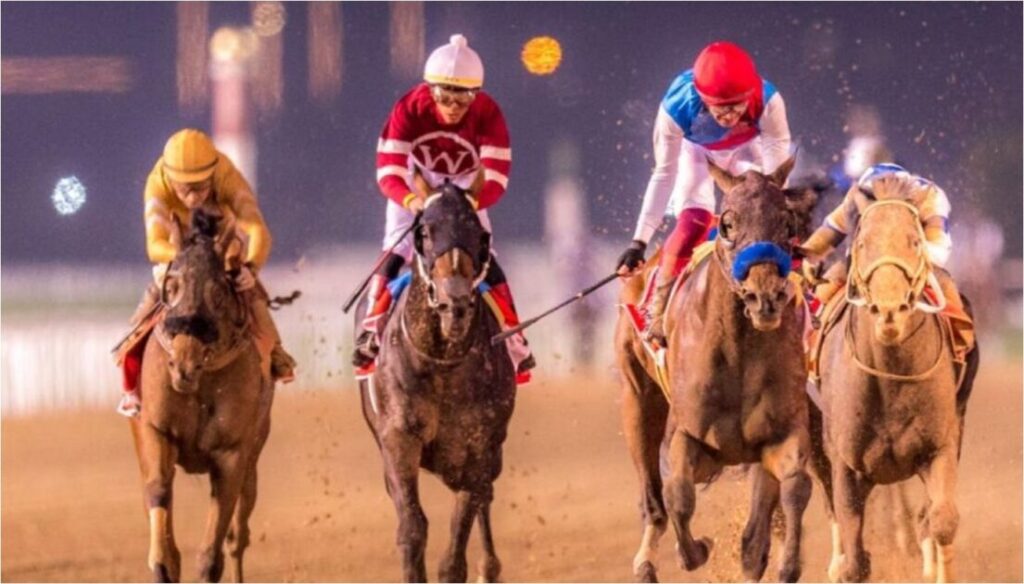 Emirates Racing Authority