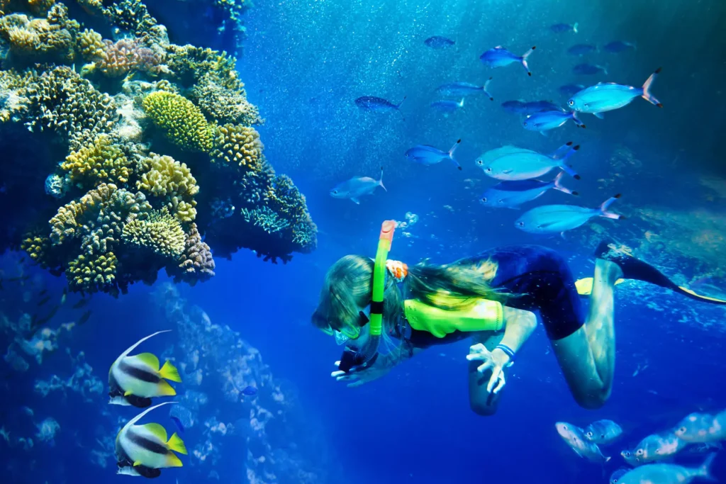 Fujairah Diving Spots