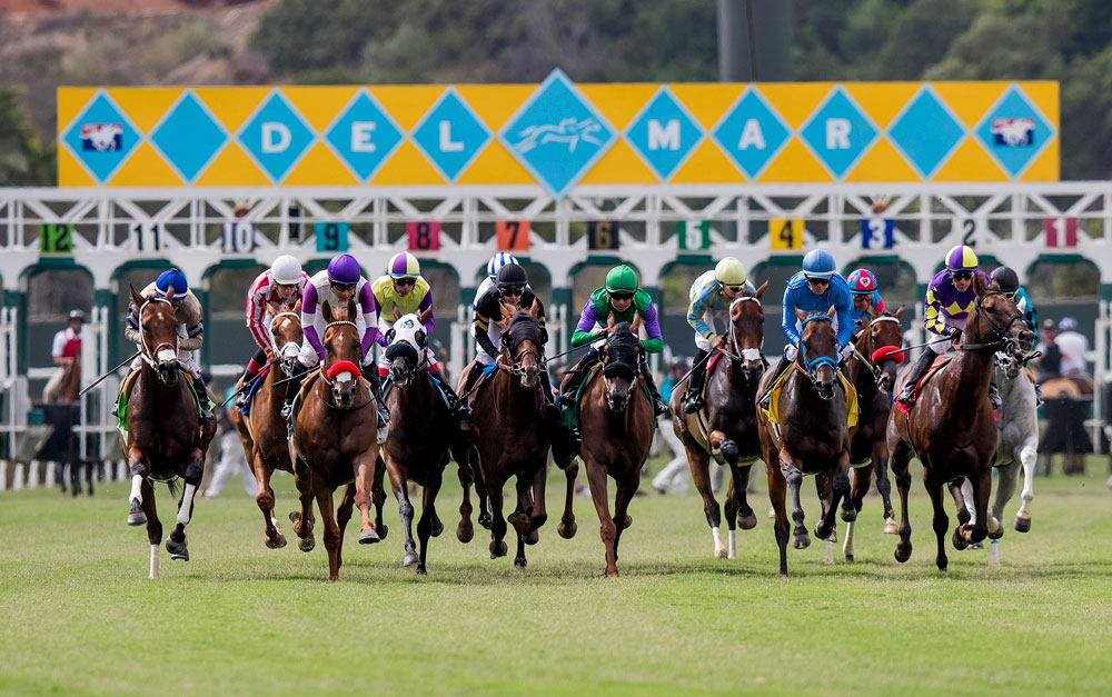 Abu Dhabi Turf Club