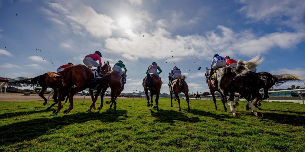 Abu Dhabi Turf Club