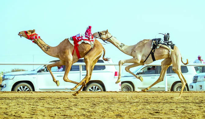 Dhafra Camel Racing Festival