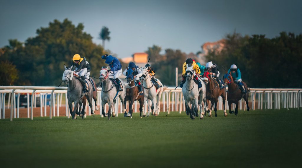 Abu Dhabi Turf Club