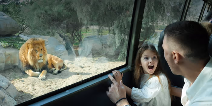 Dubai Safari Park