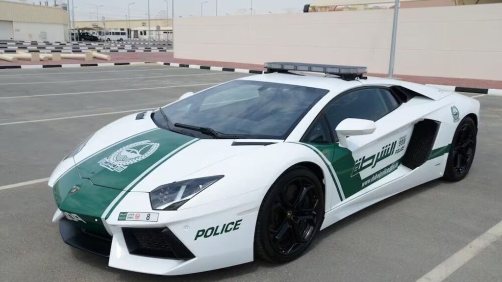Dubai Police