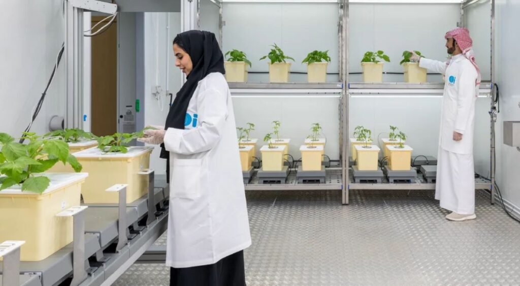 Silal Limagrain ARC-GEN Al Ain