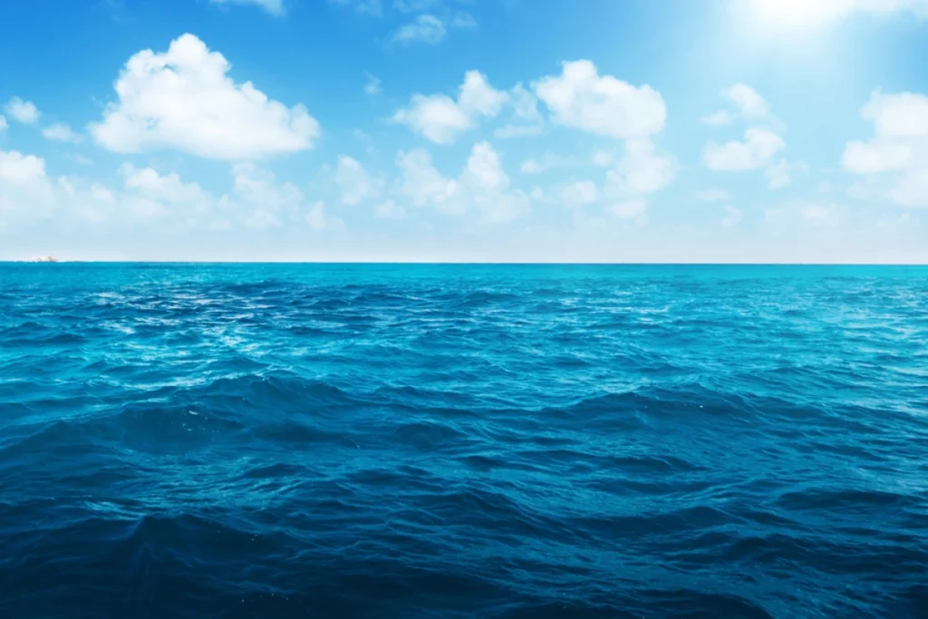 Freshwater Reserves 