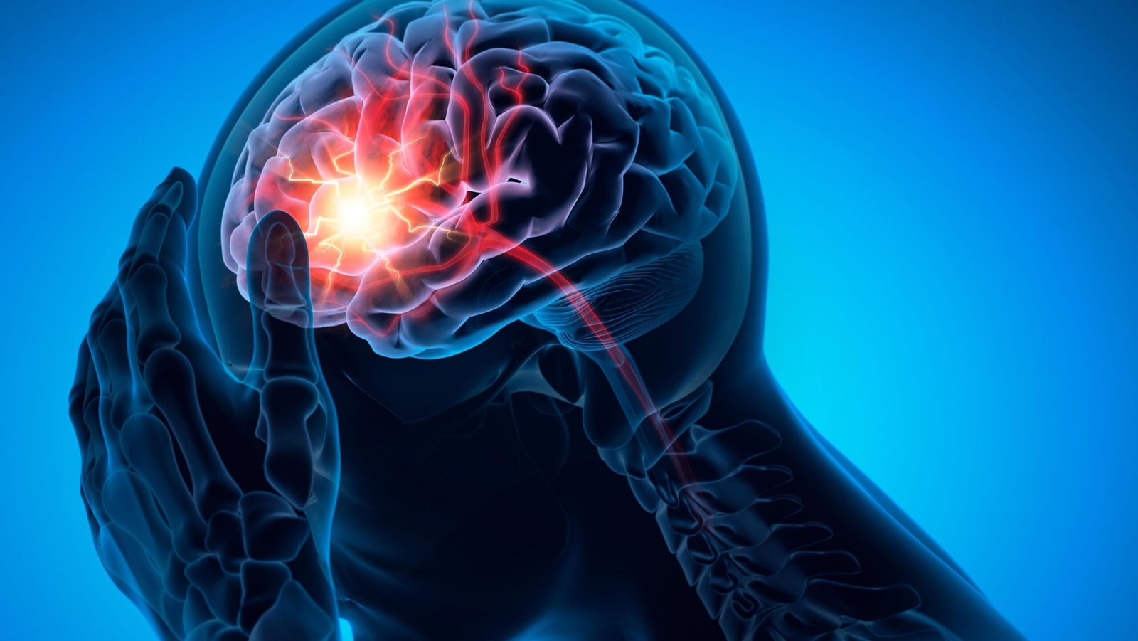 Stem Cell Transplants