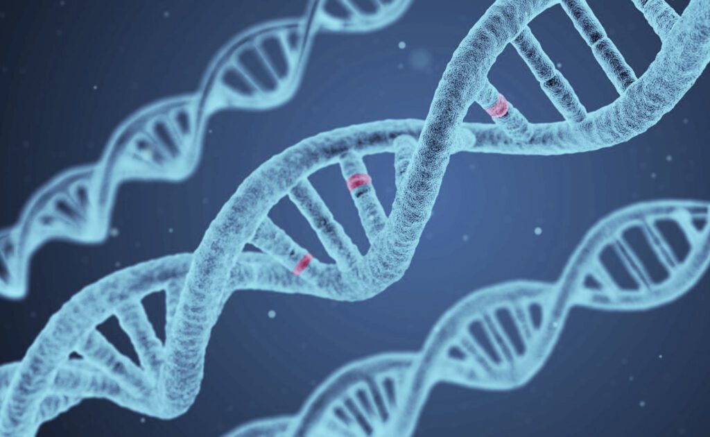 New Nutrient Discovery