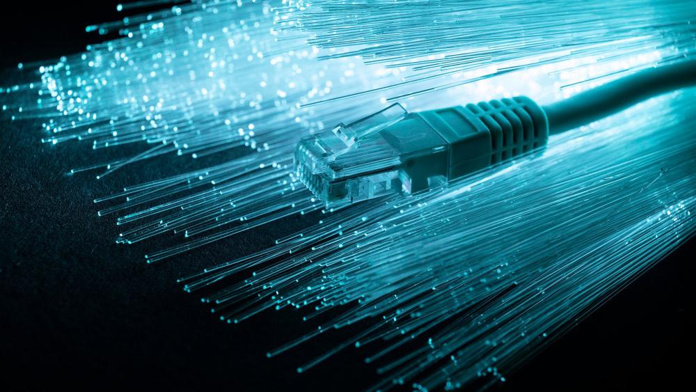 Fiber Optic Cables