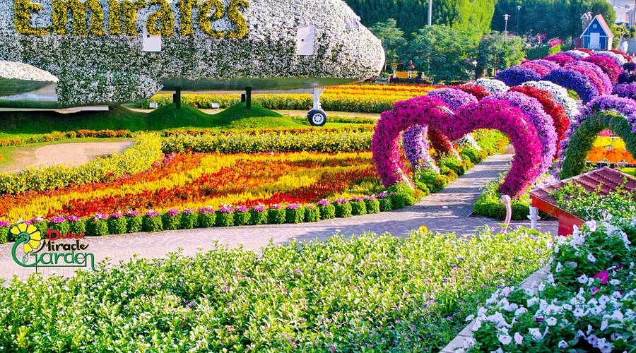 Dubai Miracle Garden