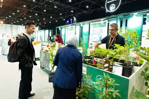UAE Small Food Businesses