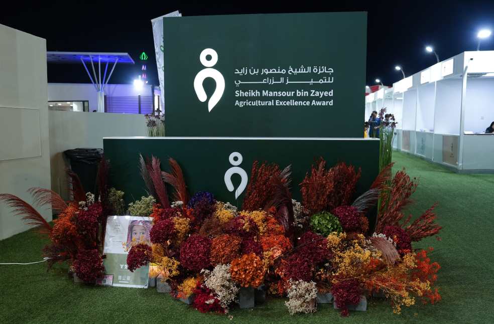 Al Wathba Food Festival Competitions