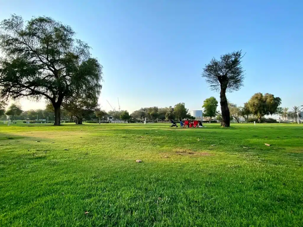 Dubai Creek Park picnic