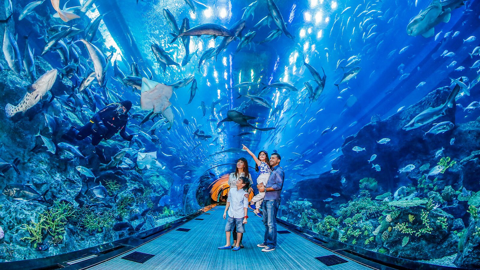 Dubai Aquarium and Underwater Zoo