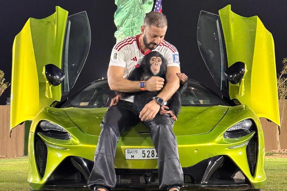 Nada Abdel Rahman Gaweish