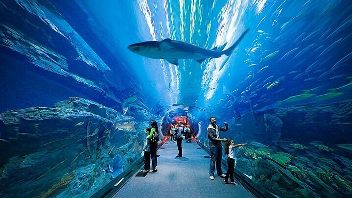 Dubai Aquarium & Underwater Zoo