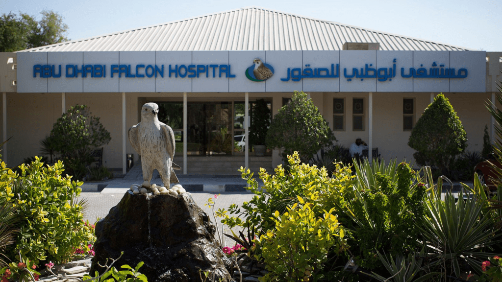 Falcon Hospital Abu Dhabi