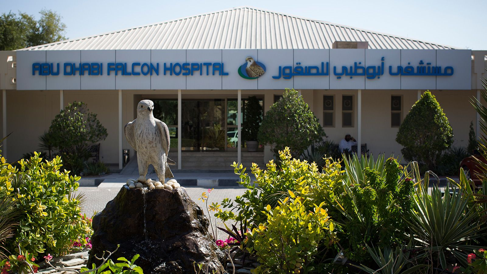 Falcon Hospital Abu Dhabi