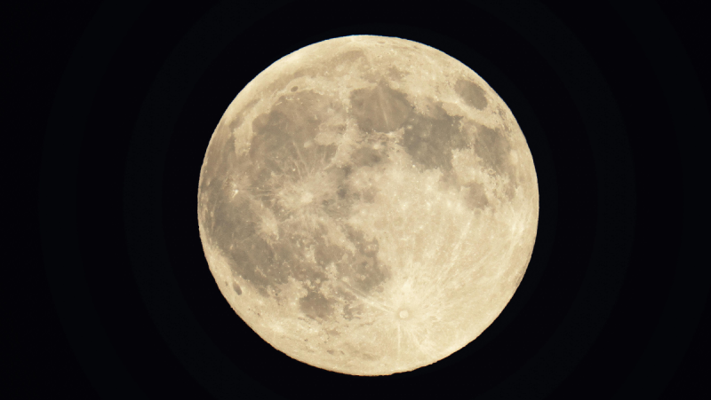 Wolf Supermoon Abu Dhabi