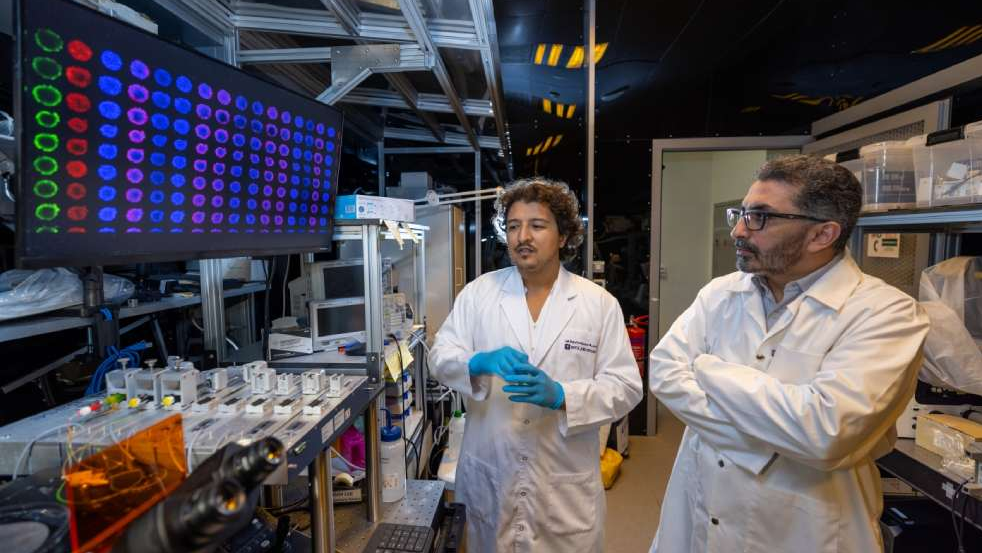 spheromatrix cancer drug testing