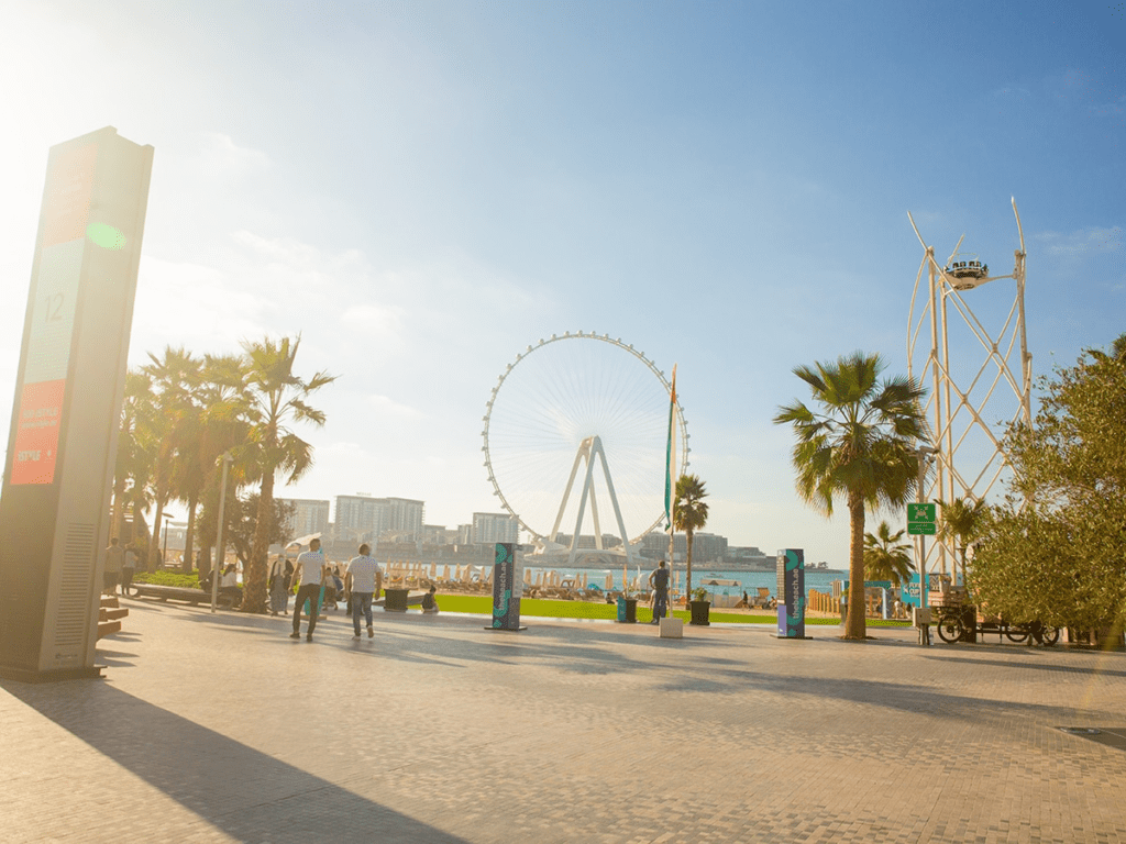 Walk Along Holiday Lights at The Beach