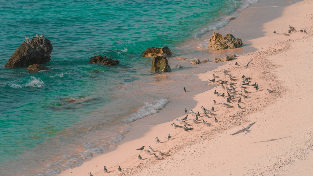 Sir Bu Nair Island UAE