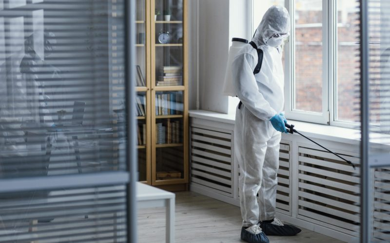 Pest Control Charges UAE