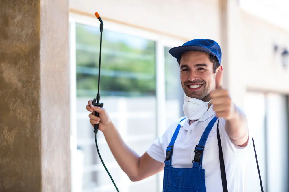 Pest Control Charges UAE