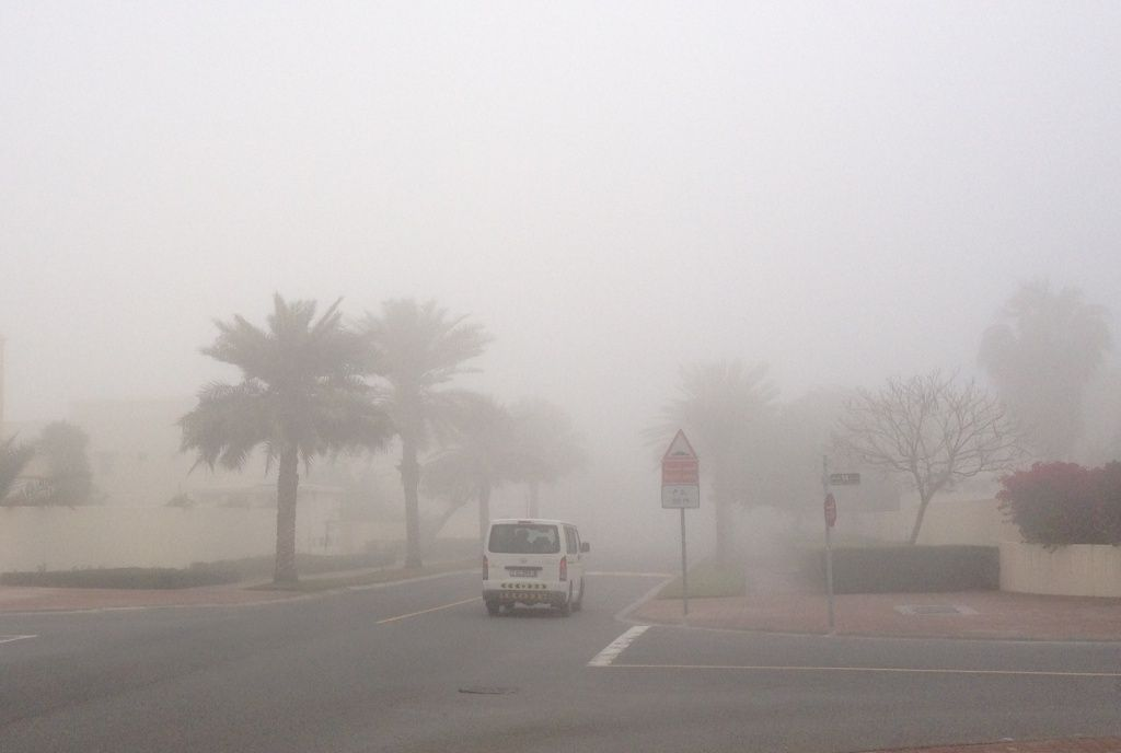 Fog Warning Rules