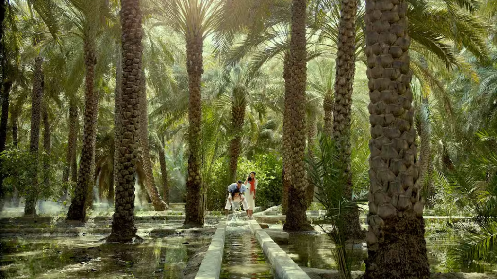 Best parks in Abu Dhabi