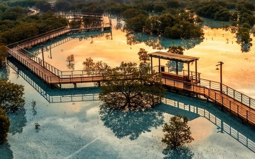 The Mangrove National Park