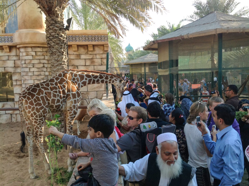  Emirates Park Zoo