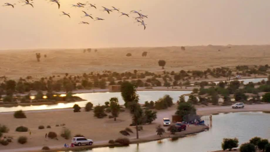 Al Qudra Lake
