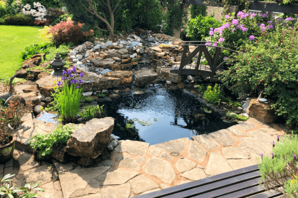 Warsan Wildlife Ponds